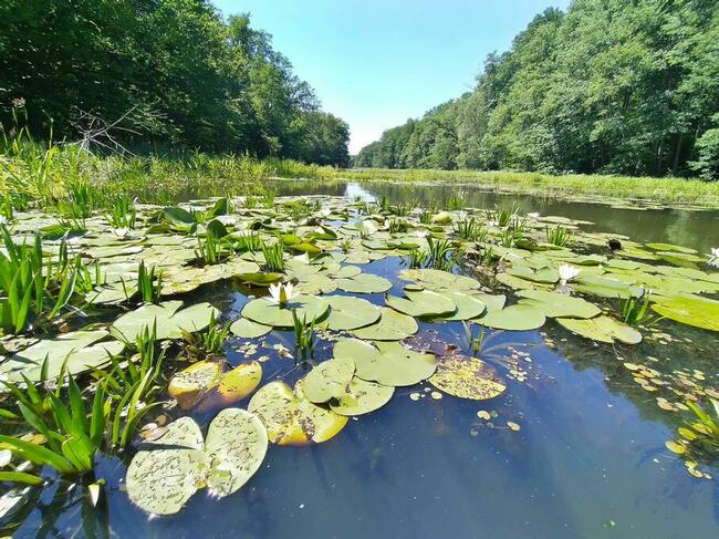 KAJAKI Spływy indywidualne Wypożyczalnia Zielona Góra