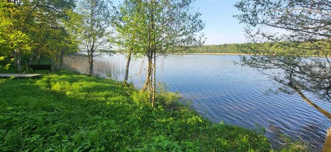 Działka nad jeziorem | z długą własną linią brzegową