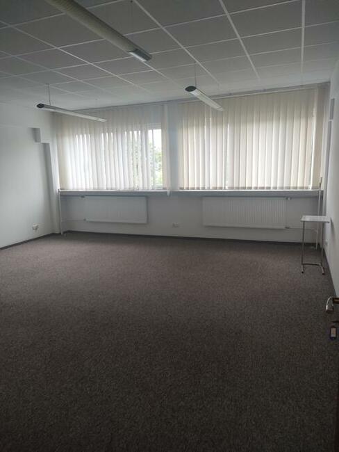 Biura i lokale do wynajęcia