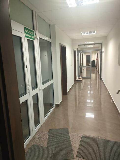 Biura i lokale do wynajęcia