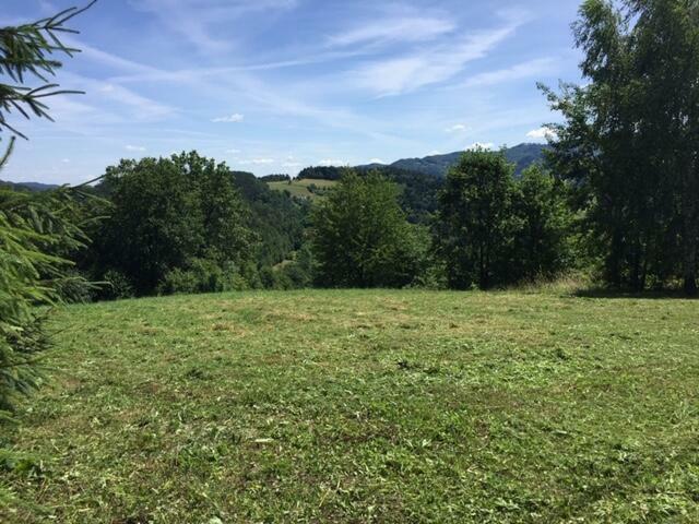 Widokowa działka budowlana Młynne k/Limanowej