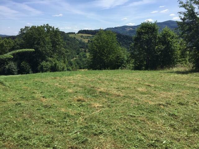 Widokowa działka budowlana Młynne k/Limanowej