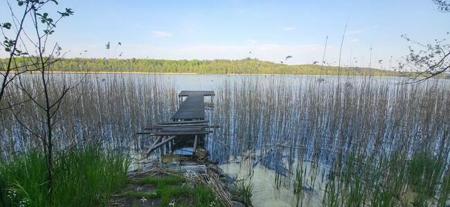 Działka nad jeziorem | z długą własną linią brzegową