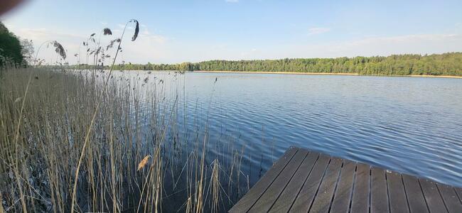 Działka nad jeziorem | z długą własną linią brzegową
