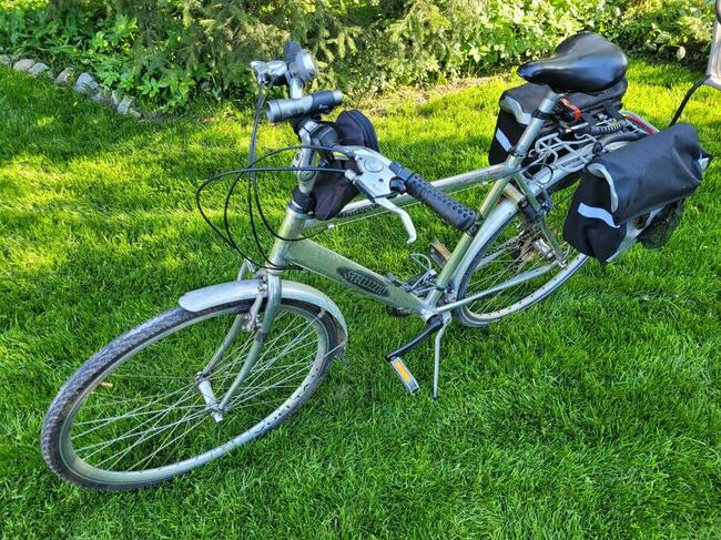 Rower trekkingowy Strelizzio, ALU