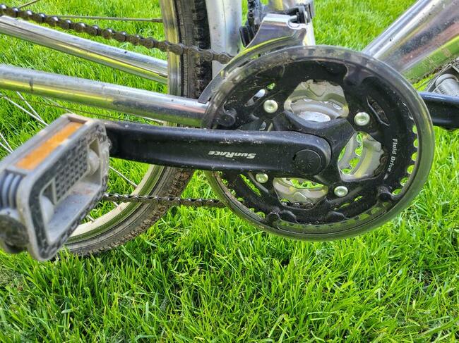 Rower trekkingowy Strelizzio, ALU