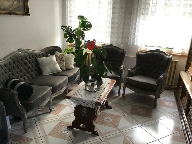 Wypoczynek ludwikowski, fotele bergery ,meble ludwikowskie