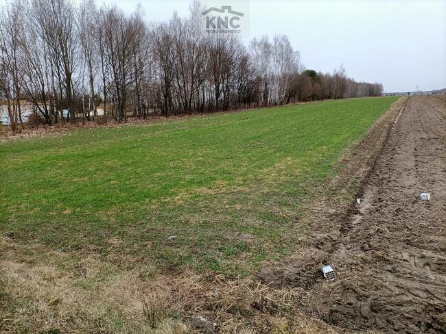 Działka rolna Mszadla Stara gm. Przyłęk