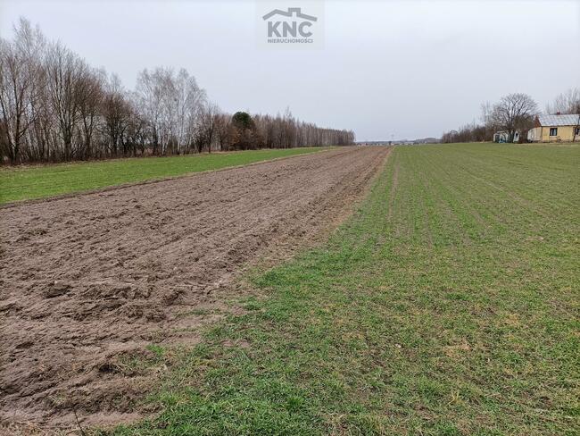 Działka rolna Mszadla Stara gm. Przyłęk