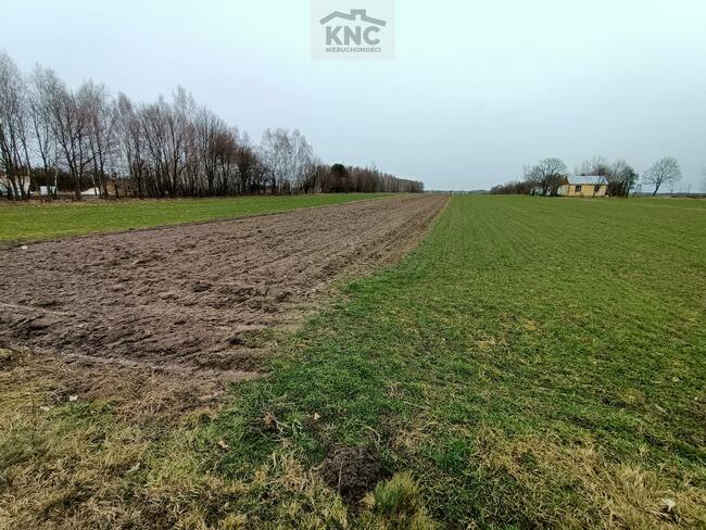 Działka rolna Mszadla Stara gm. Przyłęk