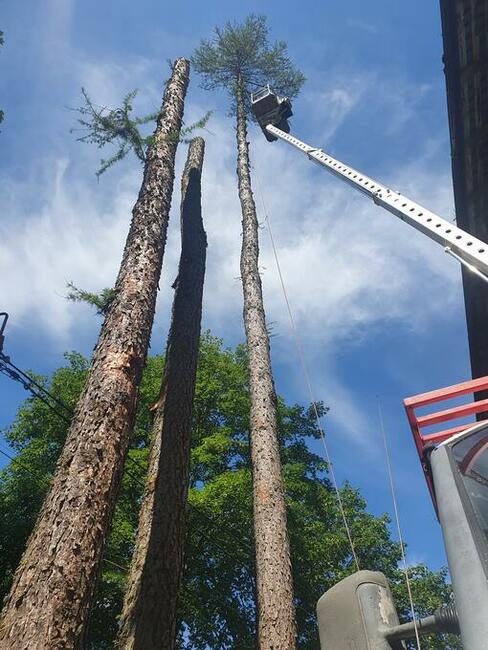 Zwyżka wynajem Podnośnik koszowy wynajem