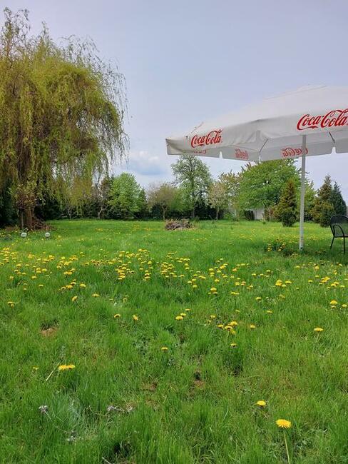 Sprzedam-zamienię dom (Dolina Baryczy) rejony Milicza.