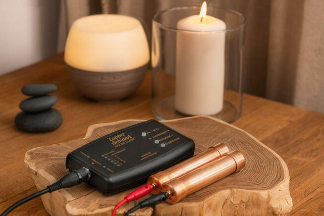 Zappery Armand Hulda Clark i wykrywacze metali Armand