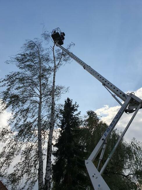 Podnośnik koszowy wynajem, Zwyżka wynajem,
