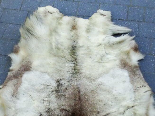 Naturalna skóra z renifera 160x90 cm