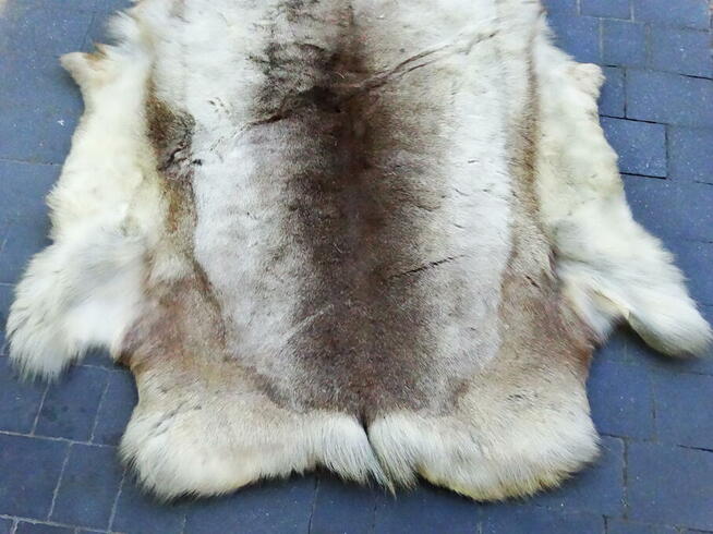 Naturalna skóra z renifera 160x90 cm