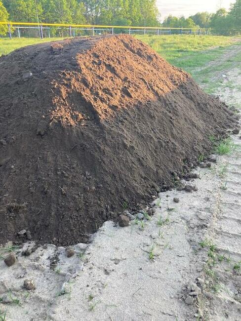 Ziemia ogrodowa, humus, czarnoziem, ziemia brunatna.