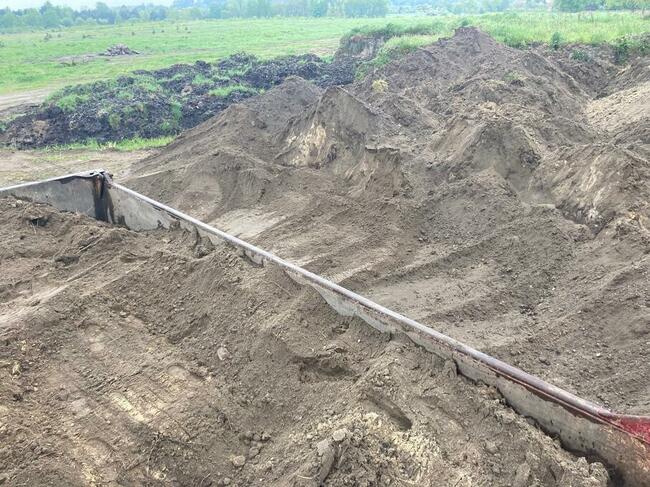 Ziemia ogrodowa, humus, czarnoziem, ziemia brunatna.