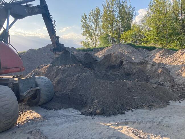 Ziemia ogrodowa, humus, czarnoziem, ziemia brunatna trawnik.