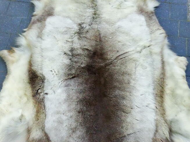 Naturalna skóra z renifera 160x90 cm