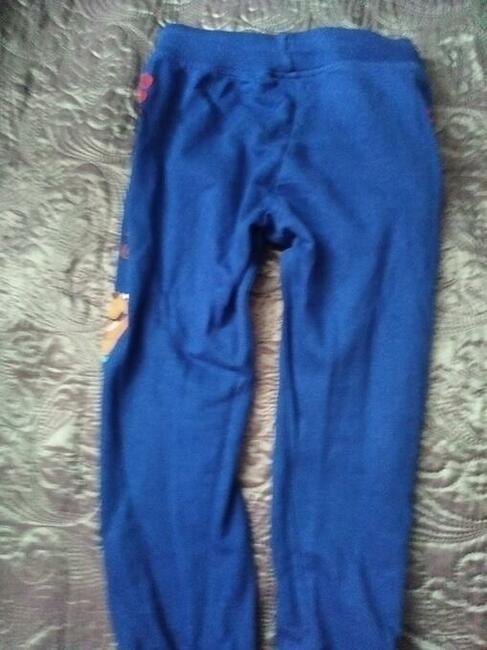 Spodnie chłopięce Scooby-Doo