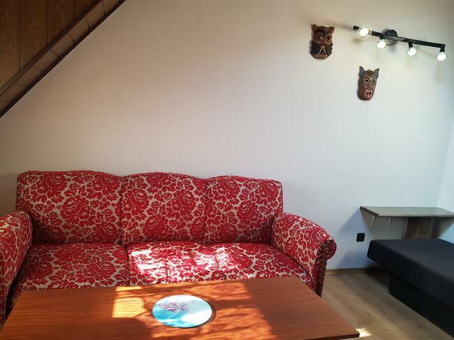 Do wynajęcia przestronny pokój dla pana