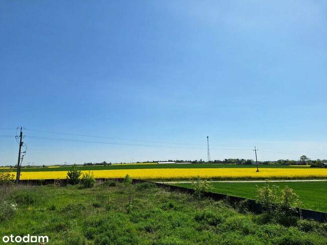 Dom w ciachcinie domy plock