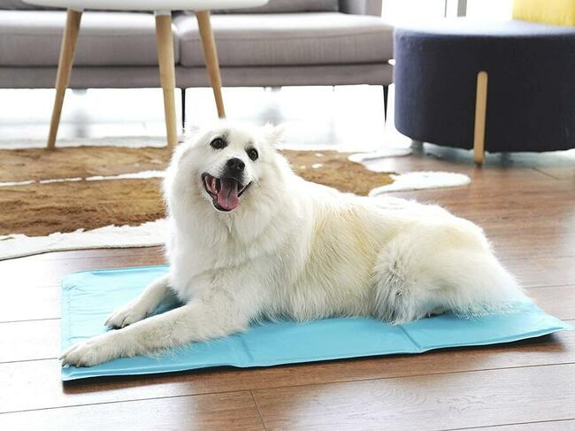 Chłodząca mata dla psa Mora Pets 50x90 cm