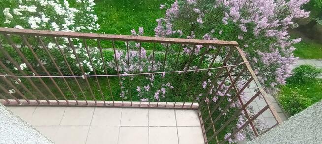 kawalerka z balkonem Łódź Koziny przy Manufakturze