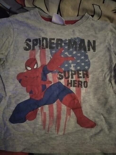 Bluza chłopięca Spiderman