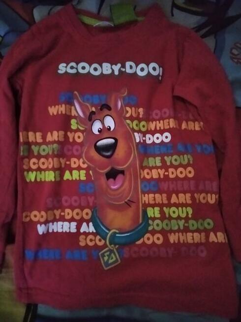 Bluzka dziewczęca Scooby-Doo