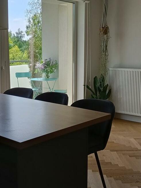 Wynajmę mieszkanie uroczo położone wśród drzew