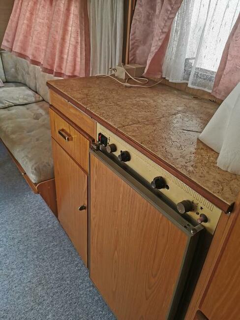 Camping Wilk 590 możliwość zamiany