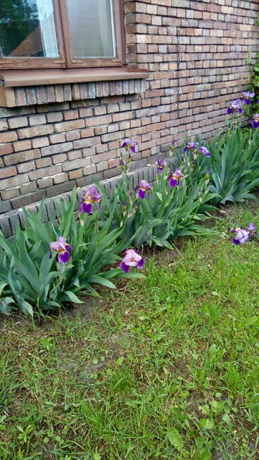 Dom z duszą dla ludzi z sercem