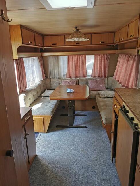 Camping Wilk 590 możliwość zamiany