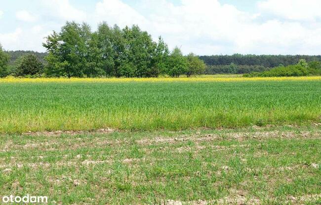 działki rolne i leśna, Żurawnica, gm. Zwierzyniec
