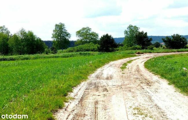 działki rolne i leśna, Żurawnica, gm. Zwierzyniec