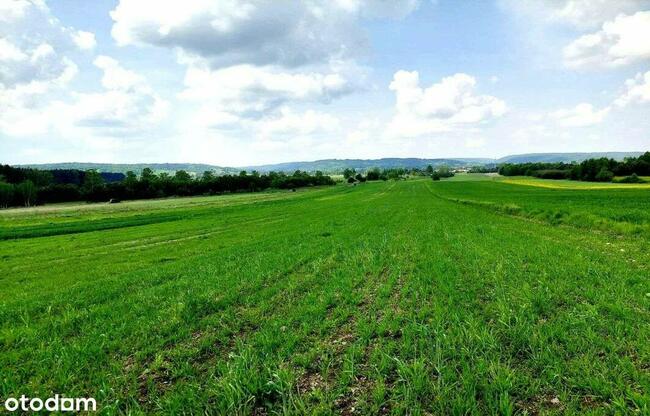 działki rolne i leśna, Żurawnica, gm. Zwierzyniec