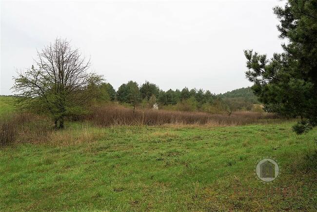 Grunt rolny, 12 zł/m2 - Nowe Kurowo