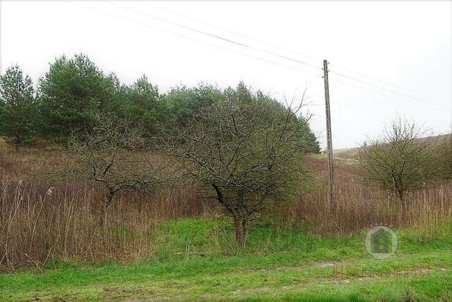 Grunt rolny, 12 zł/m2 - Nowe Kurowo