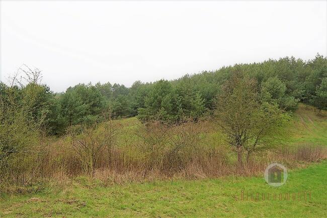 Grunt rolny, 12 zł/m2 - Nowe Kurowo