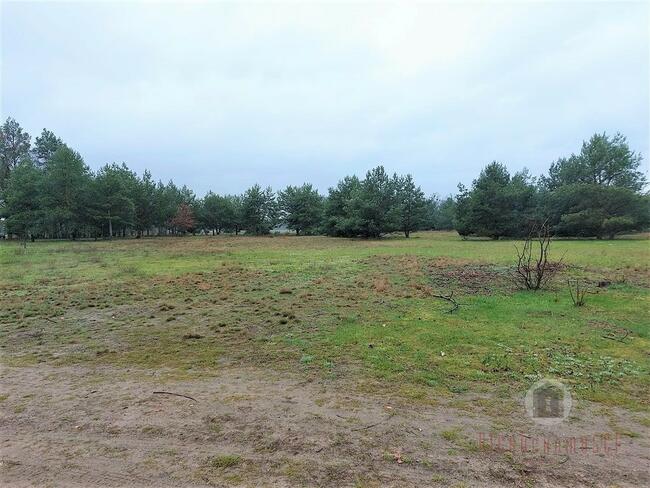 Działka w Goszczanowcu - 29 zł/m2