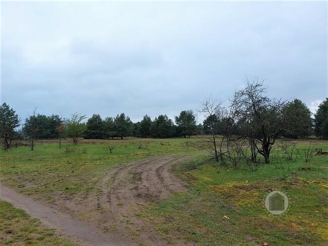 Działka w Goszczanowcu - 29 zł/m2