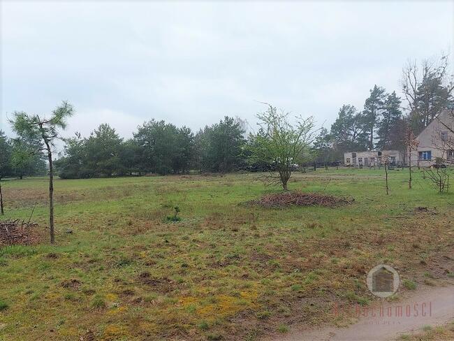 Działka w Goszczanowcu - 29 zł/m2