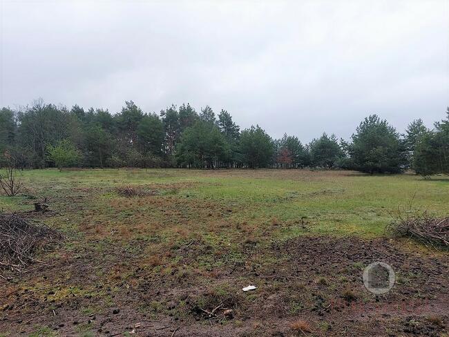 Działka w Goszczanowcu - 29 zł/m2