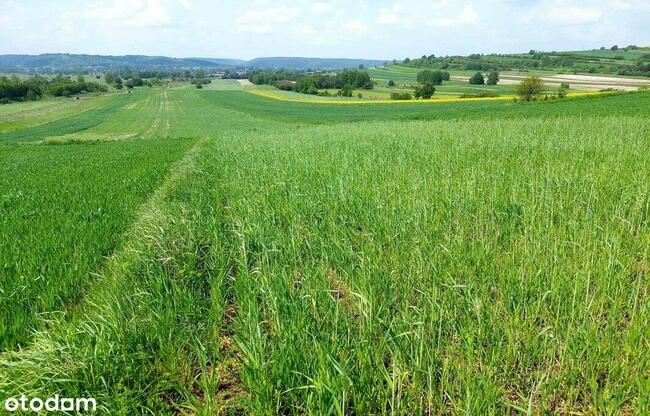 działki rolne i leśna, Żurawnica, gm. Zwierzyniec