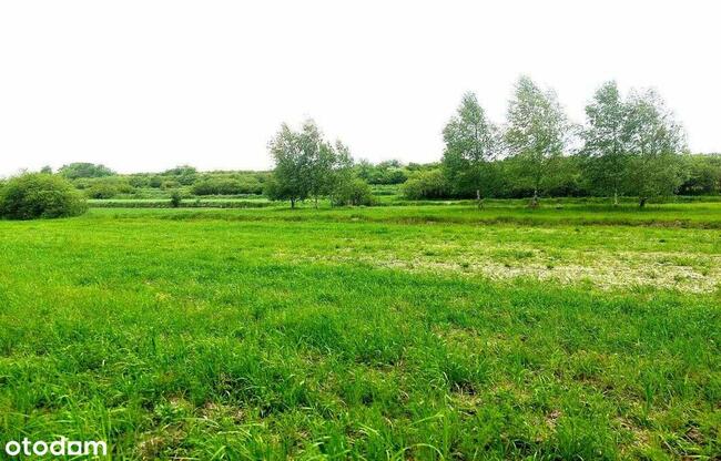 działki rolne i leśna, Żurawnica, gm. Zwierzyniec