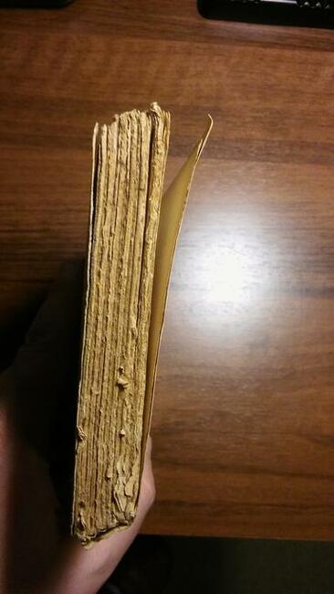 Zabytkowa Książka - Charles Dickens - Le Grillon du Foyer