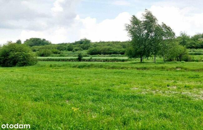 działki rolne i leśna, Żurawnica, gm. Zwierzyniec