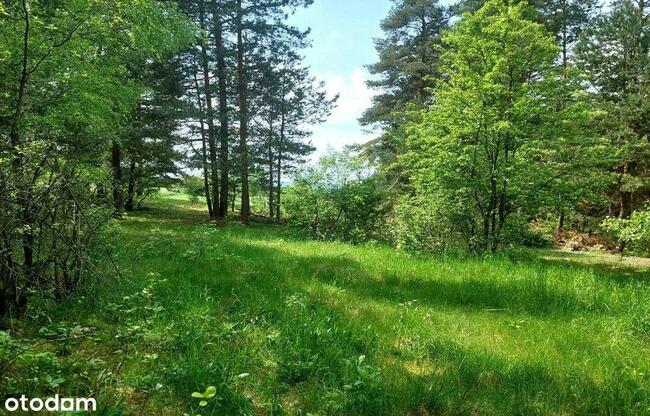 działki rolne i leśna, Żurawnica, gm. Zwierzyniec